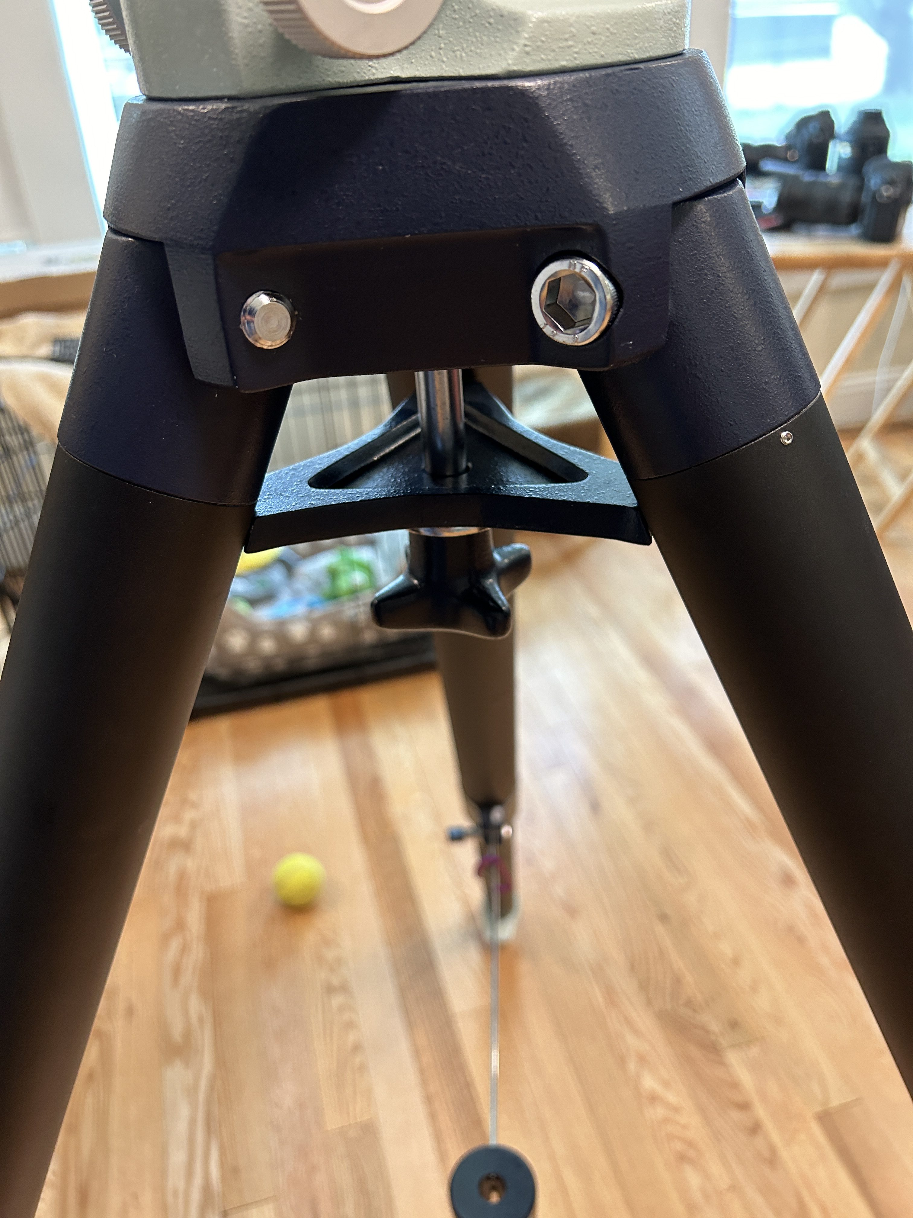 2023 10 10 12 56 26 1 Regulusastro